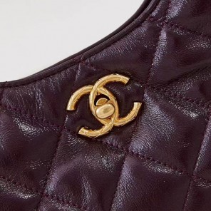 2024 Chanel hobo bag