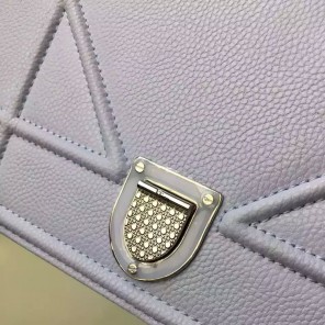 Diorama flap bag