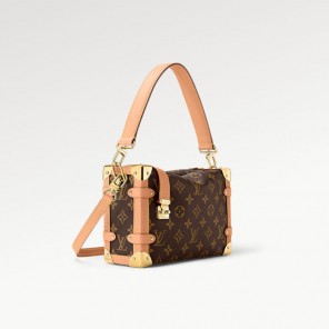 Louis vuitton Side Trunk