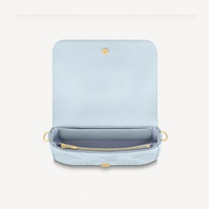 Louis vuitton WALLET ON STRAP BUBBLEGRAM