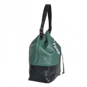 Celine Double Shoulder Bags 3385 Green/Black