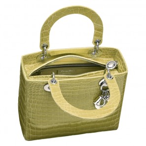 Green crocodile 