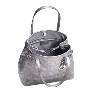 Silver canvas 