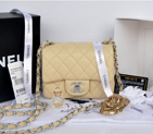 2014 Chanel mini Classic Flap Bag Apricot Original Caviar leather A1115 Silver A1115