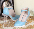 2014 Chanel women shoes CHW0421