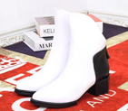 2015 Alexander women boots