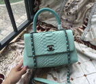 2016 Chanel Classic Top Tote Bag Original Snake Leather A95169 Mint Green