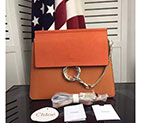 2016 Chloe FAYE SHOULDER BAG 3S1126