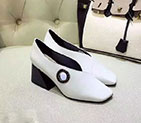 2017 Dior women shoes in Calfskin leather DSW0251