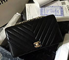 2018 Chanel Classic Flap Bag 1112