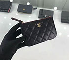 2018 Chanel Classic Pouch