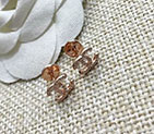 2018 Chanel Earrings CJ0296