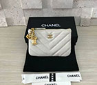 2018 Chanel Pouch