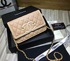 2018 Chanel WOC Mini Flap Bag A33814