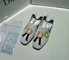 2018 Dior women Sneaker in Calfskin DSW0378