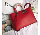 2018 LARGE LADY DIOR BAG IN CANYON GRAINED LAMBSKIN 0584