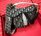 2018 MINI DIOR OBLIQUE SADDLE BAG M0447