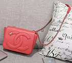2019 Chanel FLAP BAG