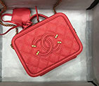 2019 Chanel Large Vanity Case A93344