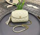 2019 Chanel camera case AS0000