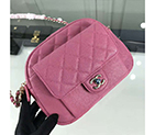 2019 Chanel camera case AS0006