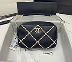 2021 Chanel camera case