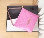 2022 Chanel shopping bag