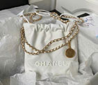 2023 Chanel 22 Mini Handbag