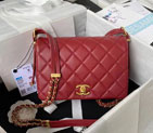 2023 Chanel Flap Bag