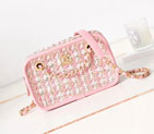 2023 Chanel SMALL CAMERA CASE AS3768