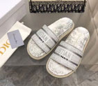 2023 Dior women shoes
