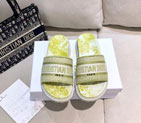2023 Dior women shoes DSW0735