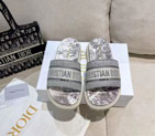 2023 Dior women shoes DSW0737