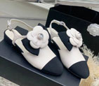 2023 chanle Women shoes CHW3062