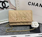 2024 Chanel 19 WOC Mini Flap Bag