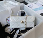 2024 Chanel BOX BAG