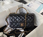 2024 Chanel FLAP BAG WITH TOP HANDLE