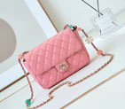 2024 Chanel Flap Bag