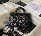 2024 Chanel Small FLAP BAG WITH TOP HANDLE