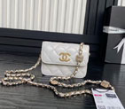 2025 Chanel CLUTCH WITH CHAIN