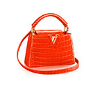 CAPUCINES MINI N92830