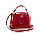 CAPUCINES PM N92965