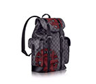 CHRISTOPHER PM N41709