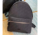 DIOR BACKPACK