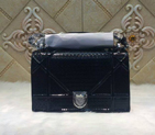 Diorama flap bag D0421