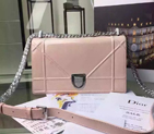 Diorama flap bag D0422