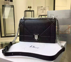 Diorama flap bag D0421