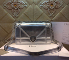Diorama flap bag D0421