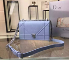 Diorama flap bag D0422