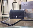 Diorama flap bag D0422